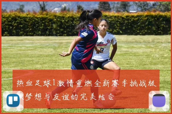 热血足球1激情重燃全新赛季挑战极限梦想与友谊的完美结合