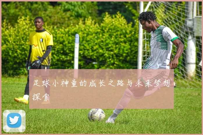 足球小神童的成长之路与未来梦想探索