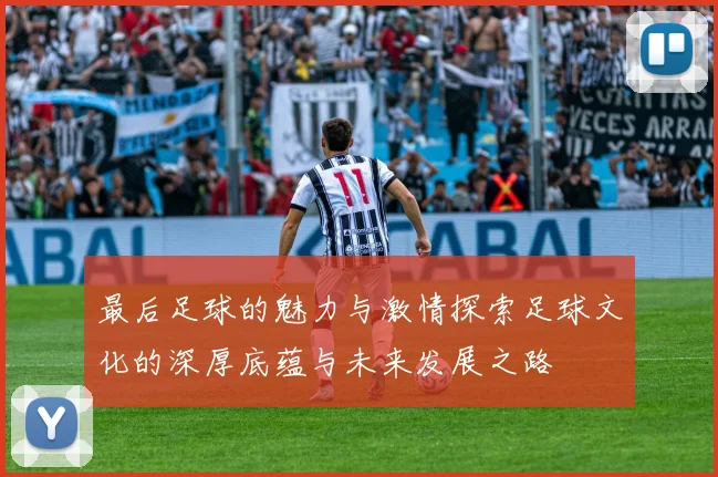 最后足球的魅力与激情探索足球文化的深厚底蕴与未来发展之路